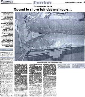 Cliquez sur l'image pour la voir en taille relle

Nom : Femmes%201.jpg
Taille : 1000x1153
Poids : 326,4 Ko
ID : 139805
