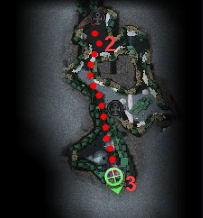 coop08-3.jpg coop08-3.jpg