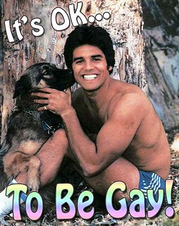 gay-itsokay.jpg gay-itsokay.jpg