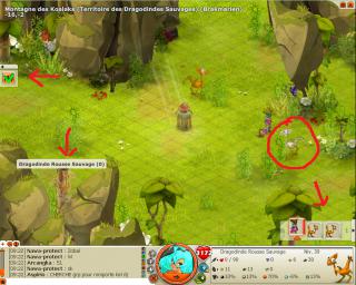 542981Bugdindes.jpg 542981Bugdindes.jpg