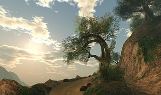 morning_003.jpg
