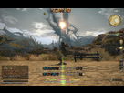 1371397044-ffxiv-2013-06-16-02-41-37-16.png