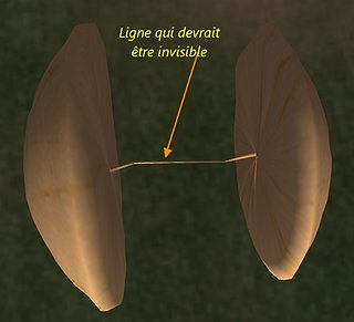 Cliquez sur l'image pour la voir en taille relle

Nom : photo objet dans sl.jpg
Taille : 738x671
Poids : 44,5 Ko
ID : 101745