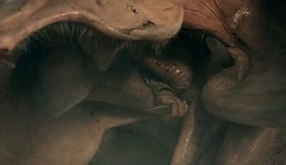 Cliquez sur l'image pour la voir en taille réelle

Nom : 7 [50%].jpg
Taille : 360x208
Poids : 12,5 Ko
ID : 66945