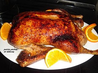 Cliquez sur l'image pour la voir en taille relle

Nom : canard  l'orange 2.JPG
Taille : 400x300
Poids : 33,5 Ko
ID : 80055