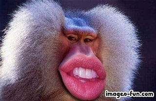 Cliquez sur l'image pour la voir en taille relle

Nom : bouche de babouin.jpg
Taille : 460x297
Poids : 38,5 Ko
ID : 253055