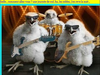 Cliquez sur l'image pour la voir en taille relle

Nom : 2012-09-10-comment allez vous2.JPG
Taille : 768x576
Poids : 66,6 Ko
ID : 173055