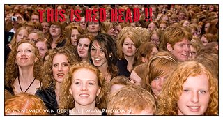 Cliquez sur l'image pour la voir en taille relle

Nom : this is redhead.jpg
Taille : 856x459
Poids : 400,5 Ko
ID : 86155