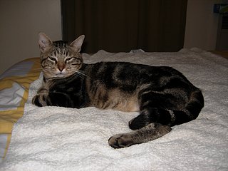 Cliquez sur l'image pour la voir en taille relle

Nom : DSCN0798.JPG
Taille : 2592x1944
Poids : 1,80 Mo
ID : 1455