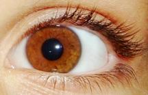 Les Yeux Du Bar O O Les Yeux Du Bar O O