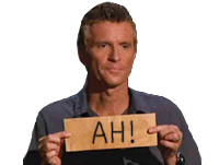 1499777058-brogniart.png