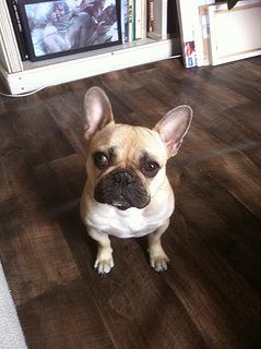 Cliquez sur l'image pour la voir en taille relle

Nom : Photo 002.jpg
Taille : 1936x2592
Poids : 1,55 Mo
ID : 134065