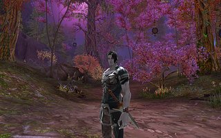 Cliquez sur l'image pour la voir en taille relle

Nom : Aion0039.jpg
Taille : 1680x1050
Poids : 1,49 Mo
ID : 59865