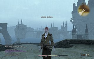 ffxivgame 2010-07-27 13-20-56-86.jpg