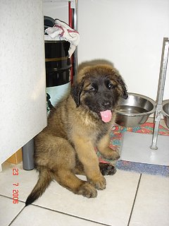 Cliquez sur l'image pour la voir en taille relle

Nom : 23.07.06 3.JPG
Taille : 960x1280
Poids : 558,5 Ko
ID : 134075