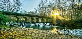 03012015-DSC_2261x3-2.JPG 03012015-DSC_2261x3-2.JPG