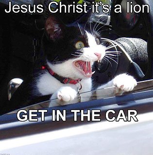 Cliquez sur l'image pour la voir en taille relle

Nom : jesus_christ_its_a_lion.jpg
Taille : 500x508
Poids : 92,7 Ko
ID : 20675