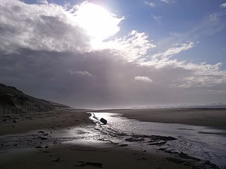 Cliquez sur l'image pour la voir en taille relle

Nom : Photo0732.jpg
Taille : 2560x1920
Poids : 1,52 Mo
ID : 161775