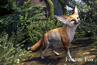 gp_crwn_fennecfox_1x1.jpg gp_crwn_fennecfox_1x1.jpg