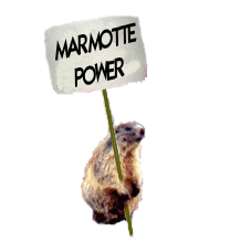 gifs1_marmotte_power.gif gifs1_marmotte_power.gif