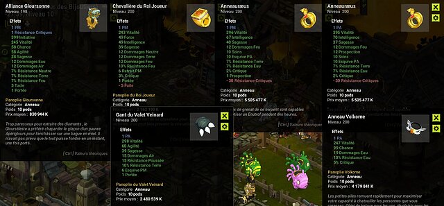 1581185093-anneaux.jpg
