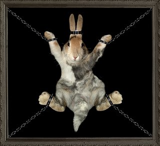 Cliquez sur l'image pour la voir en taille relle

Nom : Bondage Bunny.jpg
Taille : 1024x935
Poids : 421,8 Ko
ID : 101395