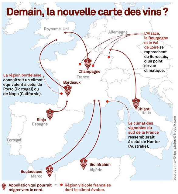 demain-nouvelle-carte-des-vins.jpg