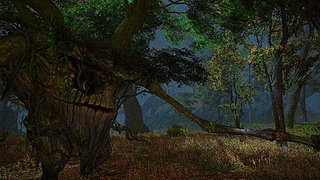 Cliquez sur l'image pour la voir en taille relle

Nom : ffxiv 2013-09-13 21-47-50-19.jpg
Taille : 1920x1080
Poids : 622,5 Ko
ID : 204695