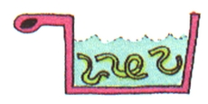 passoire6.jpg