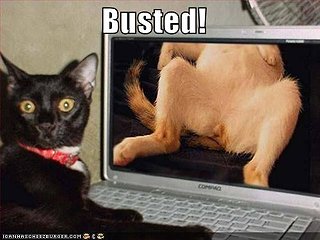 Cliquez sur l'image pour la voir en taille relle

Nom : Busted128414244814333750.jpg
Taille : 500x375
Poids : 29,0 Ko
ID : 42995