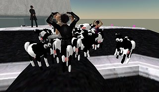 Cliquez sur l'image pour la voir en taille relle

Nom : Snapshot_164.jpg
Taille : 1280x740
Poids : 154,9 Ko
ID : 18995