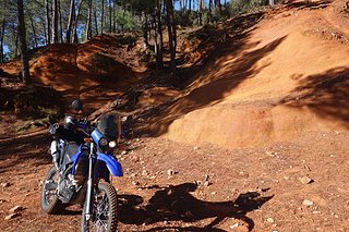 DSC02351 (1).JPG