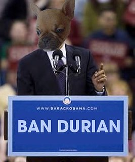 Cliquez sur l'image pour la voir en taille relle

Nom : ban.jpg
Taille : 300x360
Poids : 27,8 Ko
ID : 62706