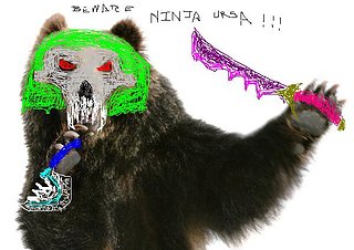 NinjaBear.jpg NinjaBear.jpg