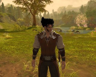 Cliquez sur l'image pour la voir en taille relle

Nom : Aion0024.jpg
Taille : 1280x1024
Poids : 969,7 Ko
ID : 77116