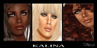 Cliquez sur l'image pour la voir en taille relle

Nom : Skin - Kalina - DS'ELLES.png
Taille : 1024x512
Poids : 560,0 Ko
ID : 244416