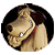 vince_astuce.gif