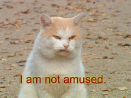 1174329819-not_amused.t.jpg