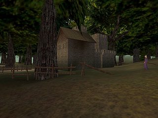 forest.jpg forest.jpg