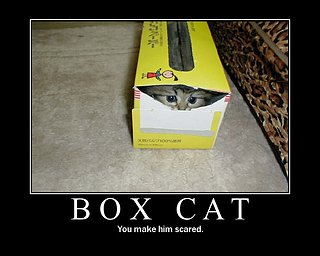 Cliquez sur l'image pour la voir en taille relle

Nom : boxcat.jpg
Taille : 750x600
Poids : 75,7 Ko
ID : 45526