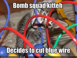 Cliquez sur l'image pour la voir en taille relle

Nom : funny-pictures-bomb-squad-cat-chooses-the-blue-wire.jpg
Taille : 499x374
Poids : 40,7 Ko
ID : 60726