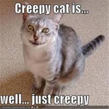 cat creepy.jpg