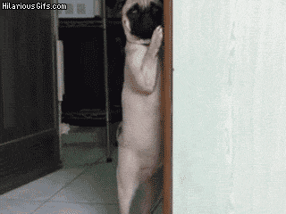 bWVCnqt.gif bWVCnqt.gif