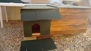 IMG_20151011_092540222.jpg