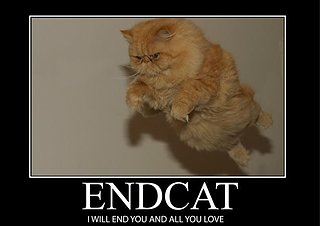 Cliquez sur l'image pour la voir en taille relle

Nom : endcat.jpg
Taille : 700x495
Poids : 29,2 Ko
ID : 45546