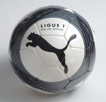 la-ligue-1-a-son-ballon-unique_28826.jpg