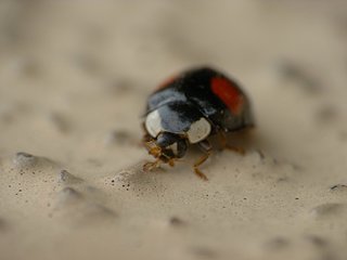 P1030574.JPG P1030574.JPG