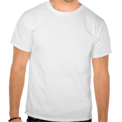 the_server_is_down_tshirt-p235755729492397467trlf_400.jpg