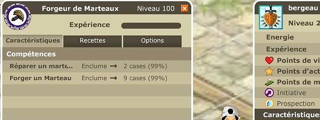 bergeaulv100marteau.jpg