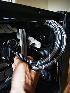 IMG_20230611_123817.jpg IMG_20230611_123817.jpg